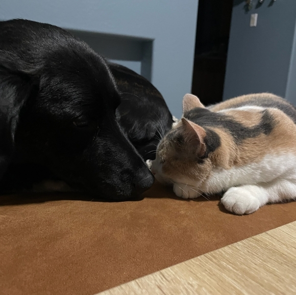 Meet your Posher, Sarah - Picture 2 of 3